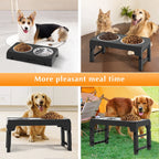 ElevatePro™ Adjustable Dog Feeder