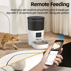 SmartPaws Feeder
